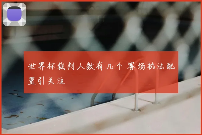 世界杯裁判人数有几个 赛场执法配置引关注