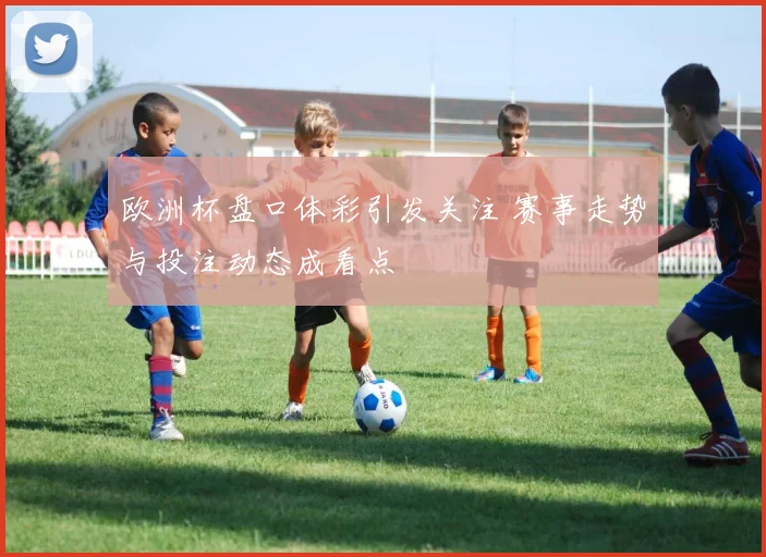欧洲杯盘口体彩引发关注 赛事走势与投注动态成看点