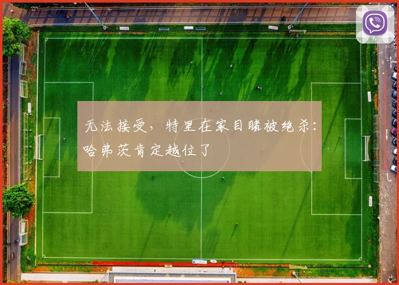 无法接受，特里在家目睹被绝杀：哈弗茨肯定越位了