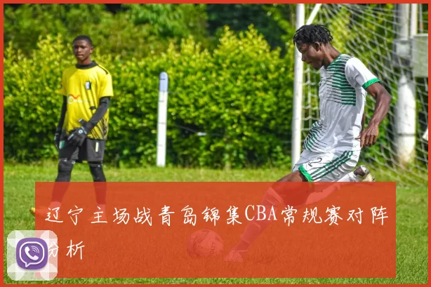 辽宁主场战青岛锦集CBA常规赛对阵分析