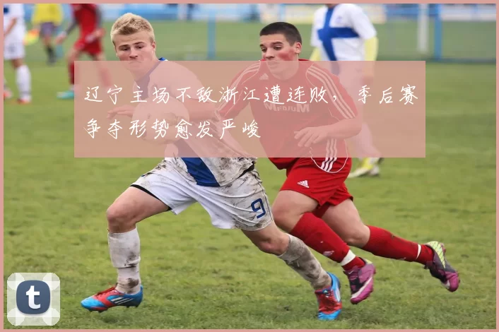 辽宁主场不敌浙江遭连败,季后赛争夺形势愈发严峻