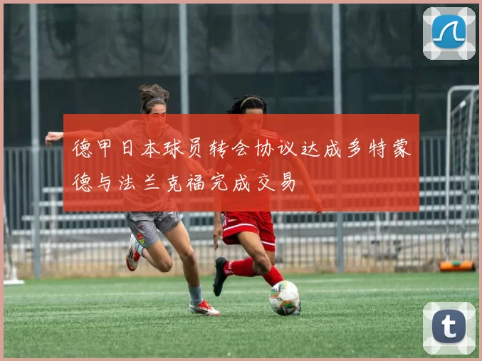 德甲日本球员转会协议达成多特蒙德与法兰克福完成交易