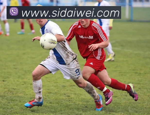 数据防护可视化